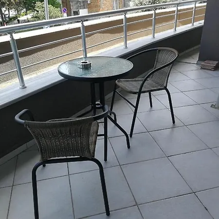 за гости соня Guest Sonya נסבר